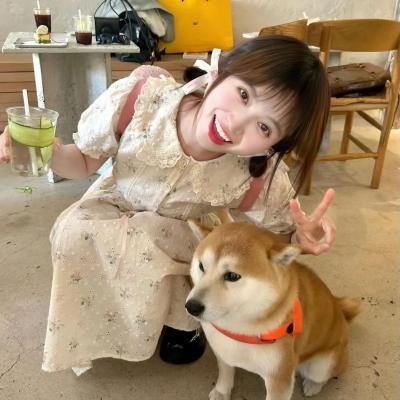吹梦无踪